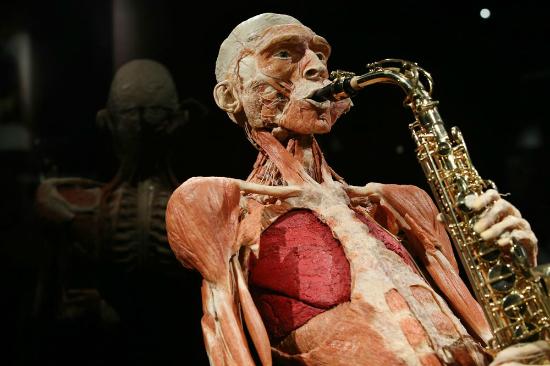 body-worlds